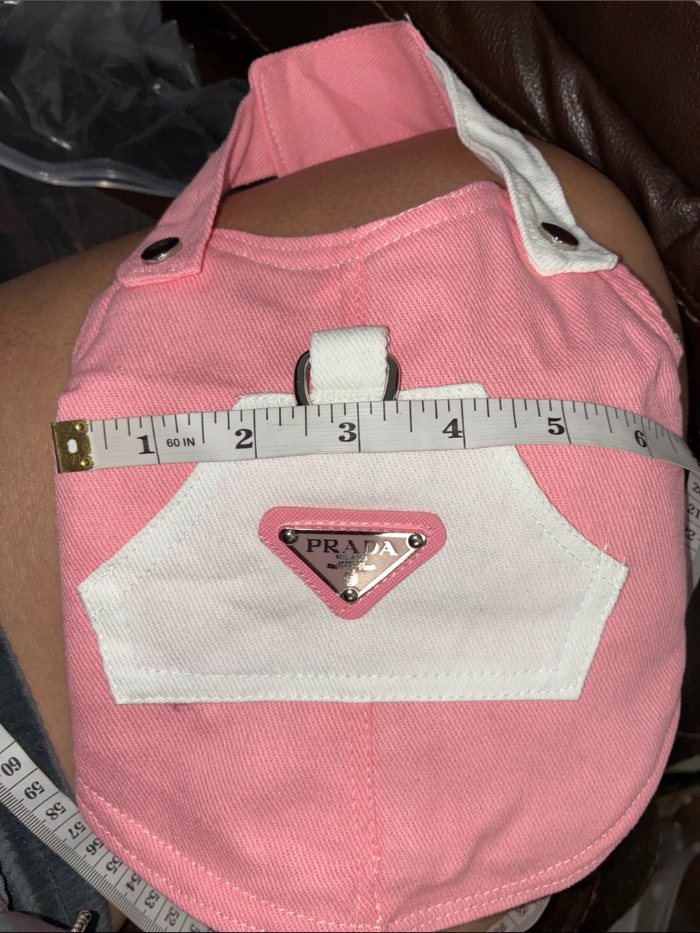 High fashion pet clothing